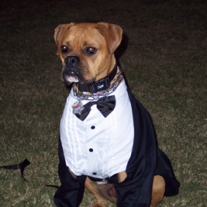 Dillon in his tux.  Halloween 2005