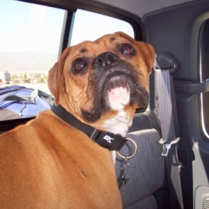 Dillon on our way to Mammoth.