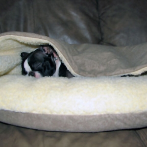 Ava In Her New Bed
