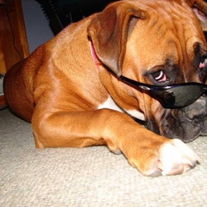 Here's Lookin at you, Kid!!