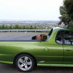 In the back of Dad's ute.
