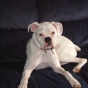 Bryson2