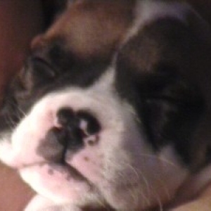 Sound asleep in her Daddy's arms....so sweet!