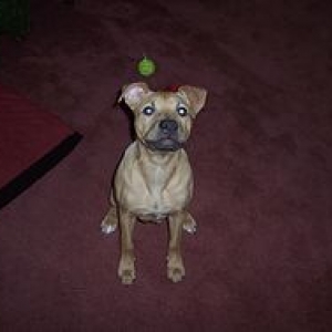 I'm a good boy!