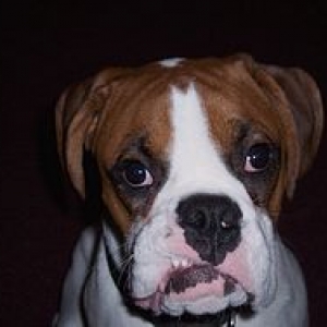 I think I need braces ma!