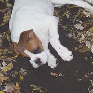Boy I'm tired from all this diggin!