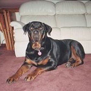 Big boy Guy at 165lbs