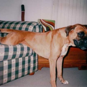 Stretch