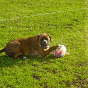 I love my ball!