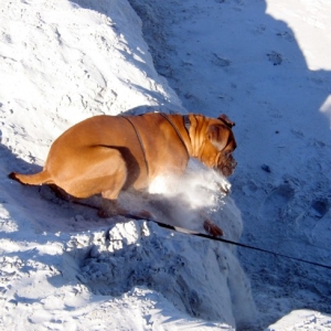 jumping down the sand cliff