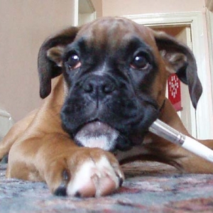 Ruby loves pinching my make up brushes!