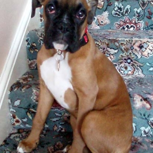 Ruby 15 weeks.