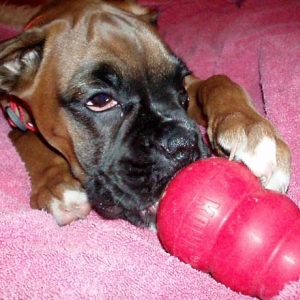 Ruby and her Kong!