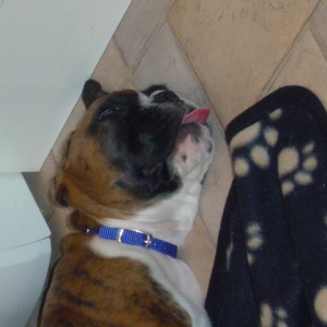 Sleeping like a baby