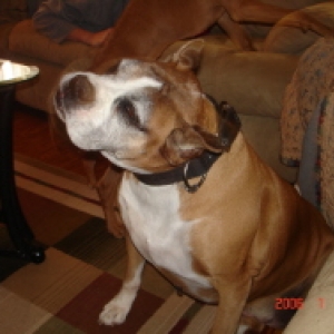 abby