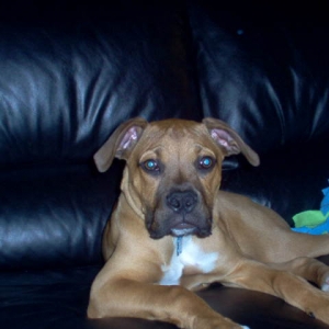 Chico#2