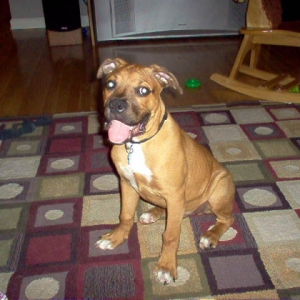 Chico#4