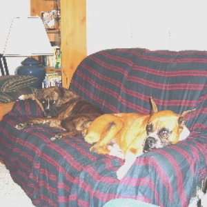 New boy Jake and Belle