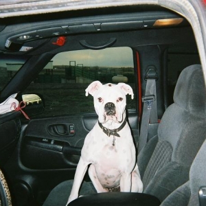 Car Rides