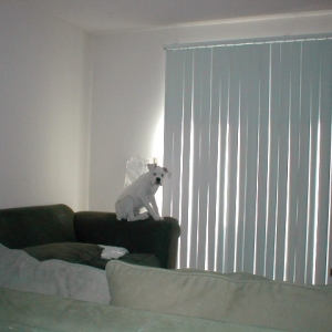 get_off_the_couch