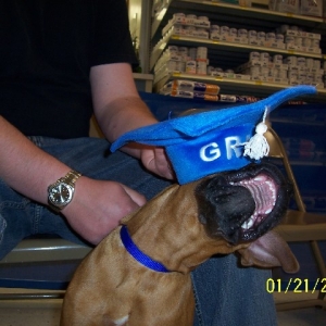 Rocky doesn't like his grad hat