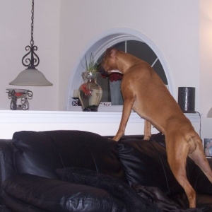 She's getting braver...