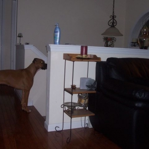 From a different angle I guess she'll get a better view...