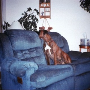 duke