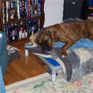 duke