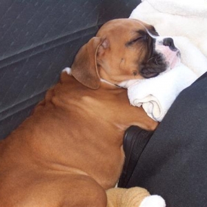 So Sleepy