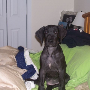 Here's our new addition....getting bigger and bigger!