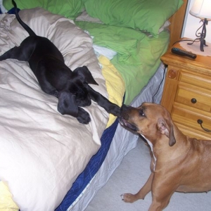 Come on - get off the bed!!