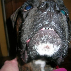 Lola up close & personal