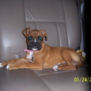 GoodGirl