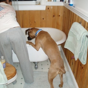 bath time fun