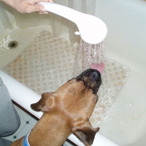 bath time