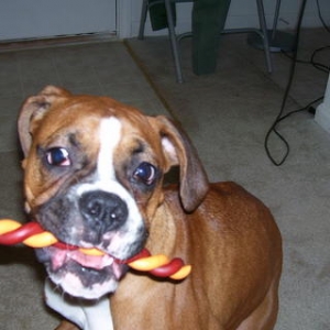 I LOVE MY TREATS