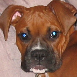 Stokley