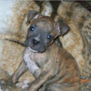 My baby now....