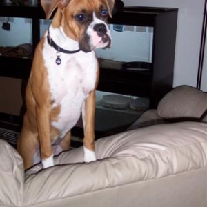 Are you ready to play now?