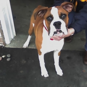 Buster