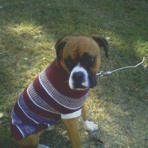 Roscoe was a little chilli that day!!!