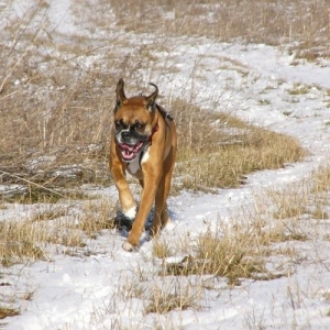 Winter Running