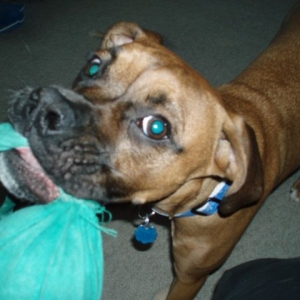 Luna and her beloved Wubba Wubba