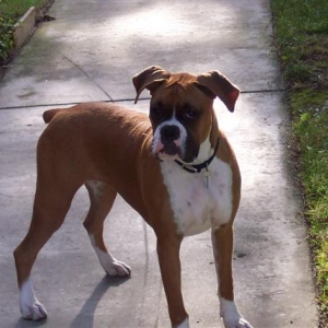 Almost 7 Month's Old