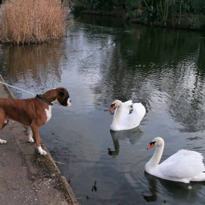 New friends? Maybe not...