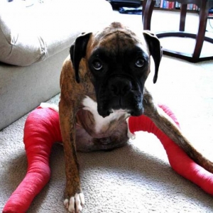 Haley Post Op 2