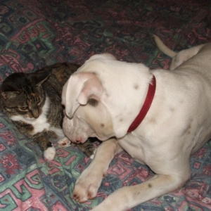 Wanna be friends?