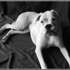 Logan 9 months old