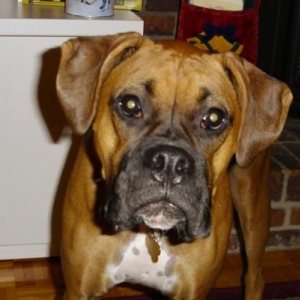 Sweet face